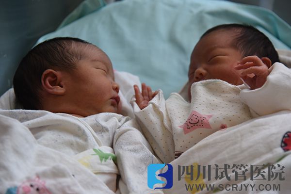 40天孕囊看男女不準(zhǔn)確