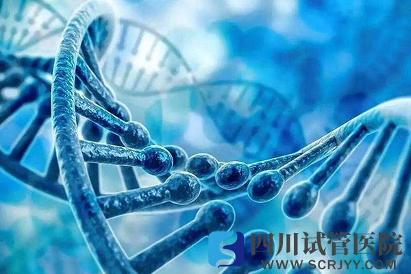 15q11-13片段重復(fù)會引起胎兒畸形