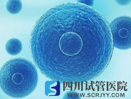 揭秘試管著床7個(gè)小妙招，飲食吃對(duì)了想失敗都難！(圖1)