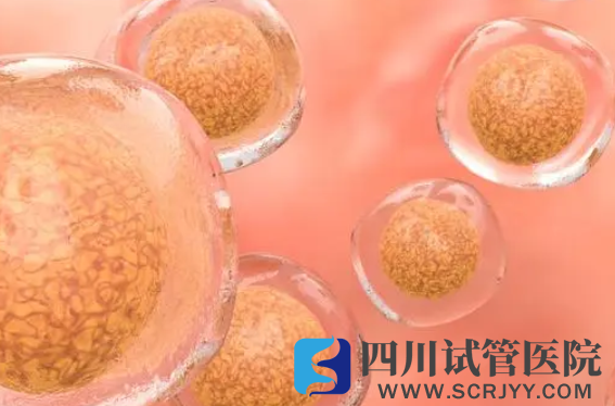 揭秘移植凍胚后著床時間線，一文知幾天著床有什么感覺(圖2)