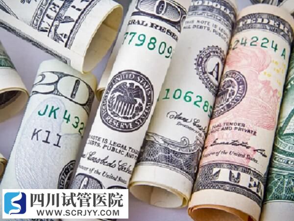 二代試管生龍鳳胎的費用是多少