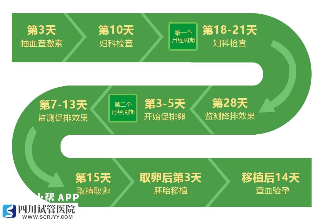 試管嬰兒的治療進(jìn)程